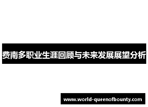 费南多职业生涯回顾与未来发展展望分析