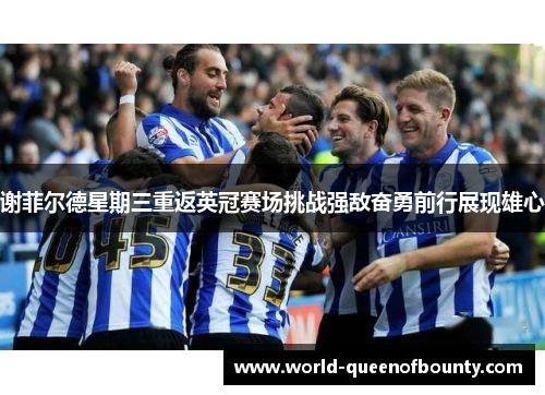 谢菲尔德星期三重返英冠赛场挑战强敌奋勇前行展现雄心